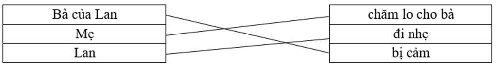 Nối Bà của Lan chăm lo cho bà Mẹ đi nhẹ Lan bị cảm (ảnh 1)