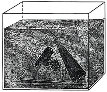 Hãy tính độ dài cạnh bên của hình chóp nói trên. (ảnh 1)