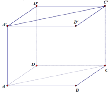 Cho hình lập phương ABCD.A'B'C'D'. Tính góc giữa mặt phẳng (ABCD) và (ACC'A') (ảnh 1)