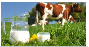 Thành phần sữa bò có chứa Potassium với nồng độ 2,00m (ảnh 1)