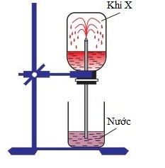 Phát biểu nào sau đây không đúng? (ảnh 1)