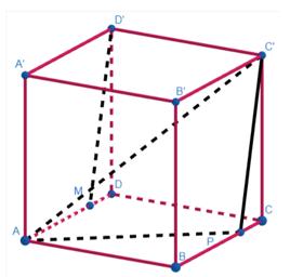 Góc giữa hai đường thẳng \(D'M,AC'\)có số đo (theo đơn vị: độ, làm tròn đến chữ số thập phân thứ nhất) bằng (ảnh 1)
