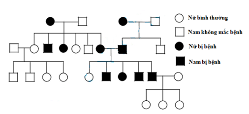 Nghiên cứu phả hệ về một bệnh di truyền ở người và thu được phả hệ như hình 6. (ảnh 1)