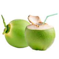 Hình ảnh Trái Dừa PNG, Vector, PSD, và biểu tượng để tải về miễn phí | pngtree