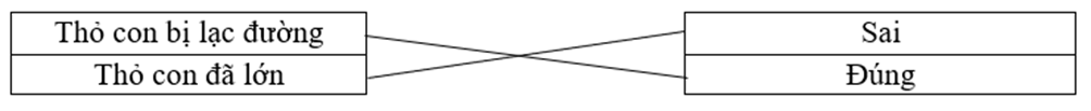 Nối: Thỏ con bị lạc đường		Sai Thỏ con đã lớn		Đúng  (ảnh 1)