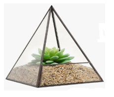 Một chậu cây cảnh mini có hình dạng là một hình chóp tứ giác đều có chiều cao bằng (ảnh 1)