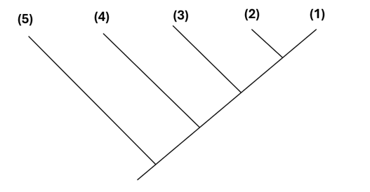 Phân tích tỉ lệ phần trăm sự sai khác các amino acid trong chuỗi α - globin cấu tạo nên phân tử Hemoglobin ở một số loài động vật có xương sống, người ta thu được kết quả như bảng dưới đây: (ảnh 2)