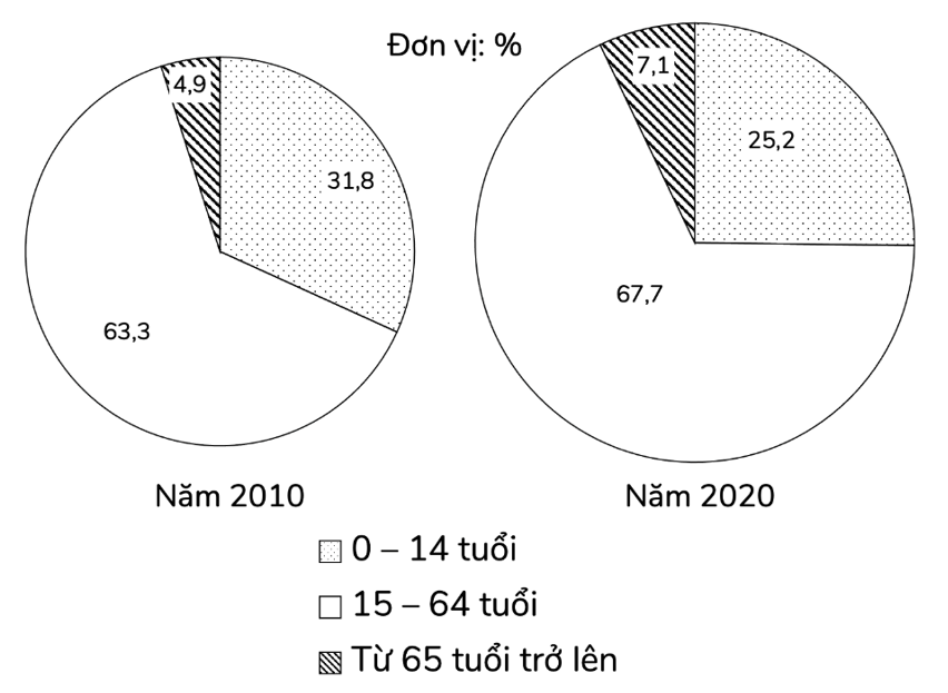 Biểu đồ dưới đây thể hiện nội dung nào về dân số theo nhóm tuổi của nước ta năm 2010 và 2020? (ảnh 1)
