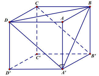 Cho hình lập phương ABCD.A'B'C'D', góc giữa hai đường thẳng A'B và  B'C là (ảnh 1)