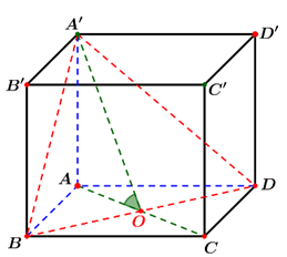 Cho khối hộp chữ nhật ABCD.A'B'C'D' có đáy là hình vuông, BD = 2a, góc phẳng nhị diện [A',BD,A) bằng 30 độ Tính độ dài cạnh AA' (ảnh 1)