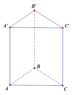 Cho khối lăng trụ đứng ABC.A'B'C' có BB' = a, đáy ABC là tam giác vuông cân tại B và AC = a căn bậc hai 2 . Tính thể tích V của khối lăng trụ đã cho. (ảnh 1)