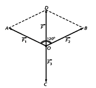 Trên Hình biểu diễn ba lực vecto F1, F2, F3 cùng tác động vào một vật ở vị trí cân bằng O. (ảnh 1)