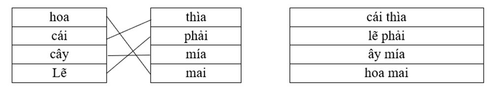 Nối và viết theo mẫu:  hoa	 thìa		.......................... cái		phải		.......................... cây		mía		.......................... lẽ		mai		hoa mai (ảnh 2)