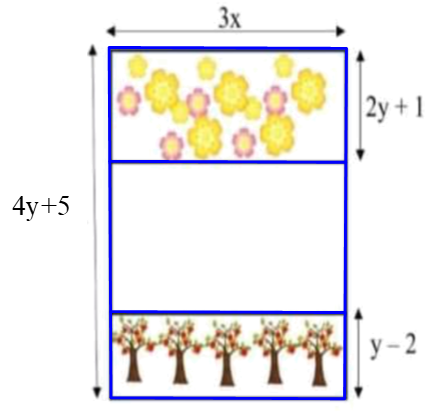 Bác Tuấn có một mảnh vườn dạng hình chữ nhật có hai cạnh lần lượt là (4y + 5) ( m) (ảnh 1)