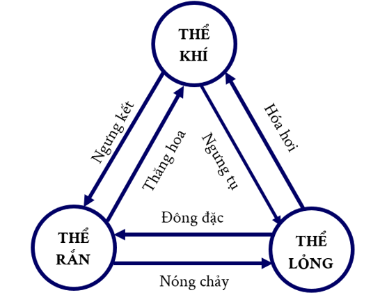 Ở điều kiện thường, iodine là chất rắn dạng tinh thể màu đen tím. Khi đun nóng (ảnh 1)