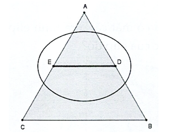 Trên mặt phẳng, cho tam giác \(ABC\) có \(A( - 2; - 2),B( - 2;2),C(6;2)\). (ảnh 1)