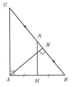 Cho tam giác ABC vuông tại A (ảnh 1)