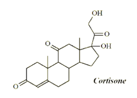 Cortisone là một loại hormone có khả năng giảm các cơn đau ngắn hạn và giảm sưng từ viêm (ảnh 1)