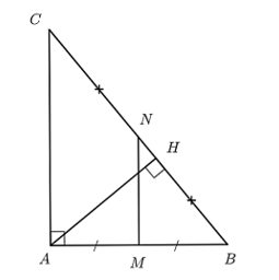 Cho tam giác ABC vuông tại A (ảnh 1)