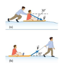 Hai người bạn đang chơi với nhau trên tuyết. Bạn Tuấn ngồi trên một cái xe trượt (ảnh 1)
