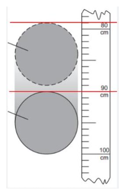 Thời điểm quả bóng rơi ngay trước khi bức ảnh được chụp?  (ảnh 1)