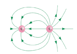 Đường sức điện của hệ hai điện tích điểm 𝑞 1 và 𝑞 2 được mô tả như hình vẽ.  (ảnh 1)