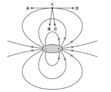 Một cặp điện tích gồm một điện tích âm và một điện tích dương có cùng độ lớn. (ảnh 1)