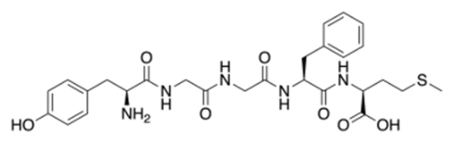 Met-enkephalin là một peptide tự nhiên có trong tuyến tuỷ thượng thận và hệ thần kinh (ảnh 1)