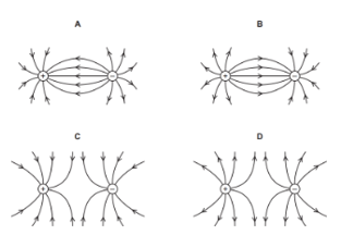 Sơ đồ nào thể hiện tốt nhất các đường sức từ trong trường điện được tạo ra bởi sự kết hợp (ảnh 1)