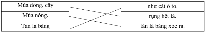 Nối:   Mùa đông, cây  	     	  như cái ô to.     Mùa nóng,  	  rụng hết lá.     Tán lá bàng,  	  tán lá bàng xoè ra. (ảnh 1)