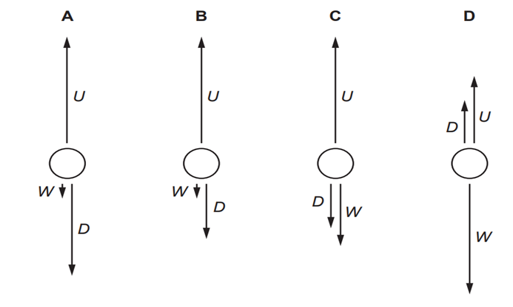 Một bong bóng khí đang nổi lên trong một chất lỏng với tốc độ không đổi. Các lực tác dụng lên  (ảnh 1)