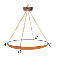 Tìm độ lớn của trọng lực P tác động lên chiếc đèn chùm. (ảnh 1)