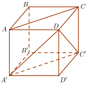 Cho hình lập phương ABCD.A'B'C'D' (tham khảo hình vẽ). Góc giữa hai đường thẳng AC và A'D là (ảnh 1)
