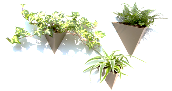 Người ta thiết kế chậu trồng cây có dạng hình chóp tam giác đều (như hình vẽ ) biết: cạnh đáy dài 20 cm (ảnh 1)