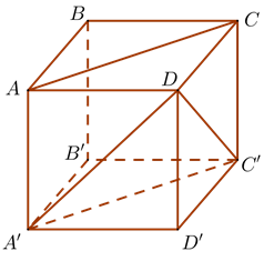 Cho hình lập phương ABCD.A'B'C'D' (tham khảo hình vẽ). Góc giữa hai đường thẳng AC và A'D là (ảnh 1)