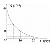 Trong một trung tâm nghiên cứu y học hạt nhân, các nhà khoa học đang theo dõi sự phân rã của một mẫu chất phóng xạ dùng (ảnh 1)