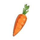 Vẽ Tay Hoạt H&igrave;nh Dễ Thương M&agrave;u Cam C&agrave; Rốt Kh&oacute;a Miễn Ph&iacute; ...