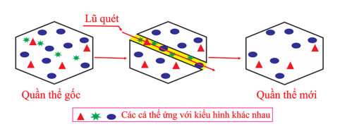 Hình 3 mô tả tác động của một nhân tố tiến hóa nào?   Hình 3 A. Đột biến. 	 (ảnh 1)