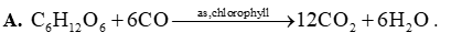 Phương trình hóa học của phản ứng quang hợp trong cây xanh là (ảnh 2)