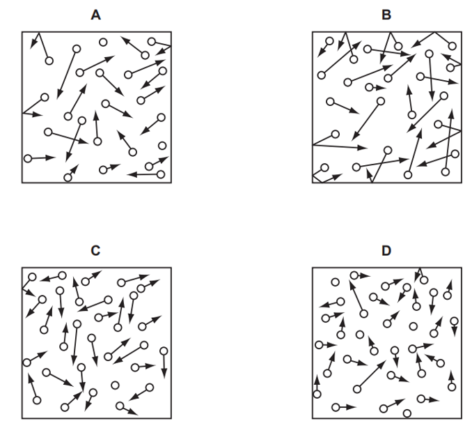 Mỗi hộp hiển thị các phân tử khí giống hệt nhau được biểu diễn bằng các vòng tròn có mũi tên (ảnh 1)