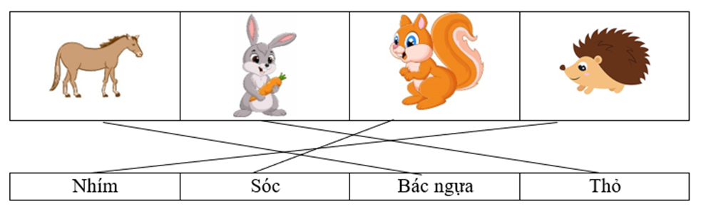 Nối:    	 	 	    Nhím	Sóc	Bác ngựa	Thỏ  (ảnh 1)