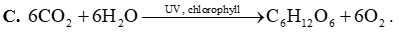 Phương trình hóa học của phản ứng quang hợp trong cây xanh là (ảnh 4)