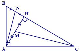 Cho tam giác ABC vuông tại A (ảnh 2)