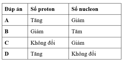 Sự phân rã của hạt nhân neptunium đi kèm với sự phát xạ của hạt (ảnh 1)