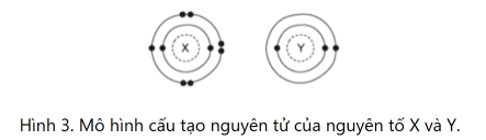 Cho mô hình cấu tạo nguyên tử của nguyên tố X và Y như hình 3. (ảnh 1)