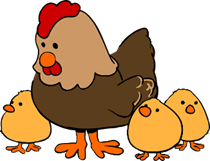 100000+ Gà Mái Tơ & ảnh Gà Mái miễn phí - Pixabay