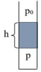 Một ống nghiệm hình trụ có chứa chất lỏng có độ cao h và khối lượng riêng (ảnh 1)