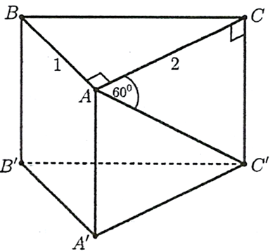Cho hình lăng trụ đứng ABC.A'B'C' có đáy là tam giác vuông tại A với AB = 1,AC = 2. Biết rằng góc phẳng nhị diện [C,AB,C'] bằng 60 độ. Khi đó: (ảnh 1)