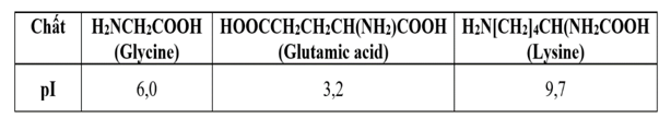 Giá trị pH mà khi đó amino acid có nồng độ ion lưỡng cực là cực đại được gọi là điểm đăng điện (ảnh 1)