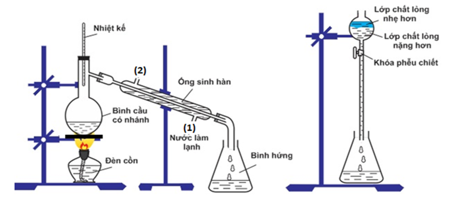 Hình vẽ minh họa điều chế isoamyl acetate trong phòng thí nghiệm: (ảnh 1)